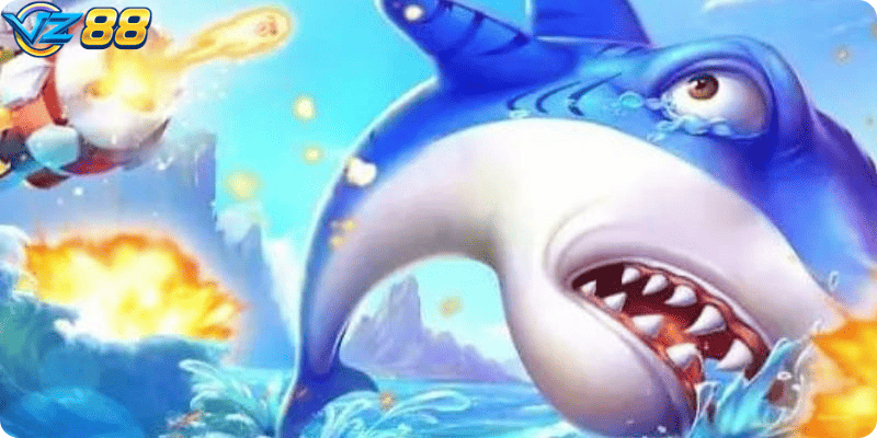 Tập trung vào cá theo đàn và cá giá trị giúp tối ưu xu